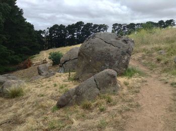 Elephant on stone wall against sky