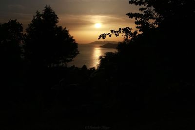 Silhouette trees against sky during sunset