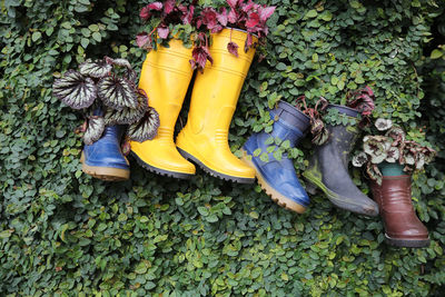 Low section of shoes on yellow flower