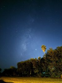 Trees on field against sky at night