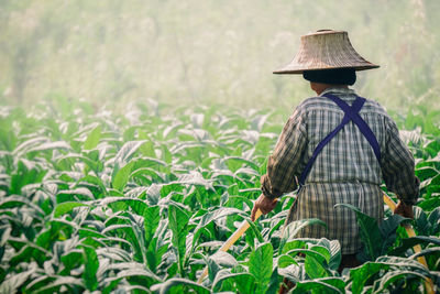 Rear view of farmer wearing hat while watering plants at farm