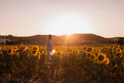 Woman standing by blooming flowers against clear sky during sunset