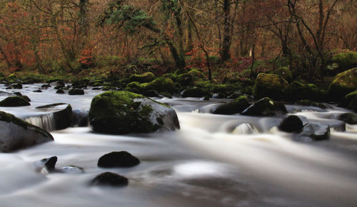 Scenic view of waterfall