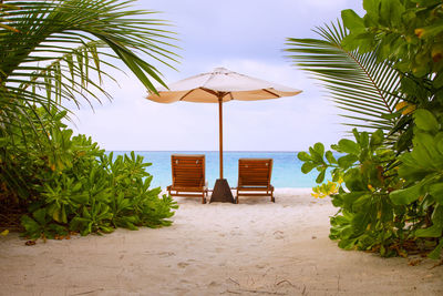 Palm trees on beach against sky