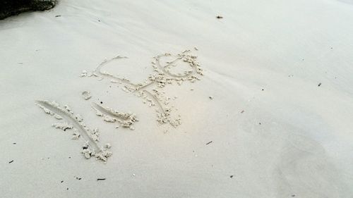 High angle view of footprints on sand at beach