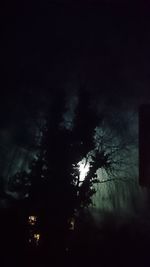 Low angle view of trees against dark sky