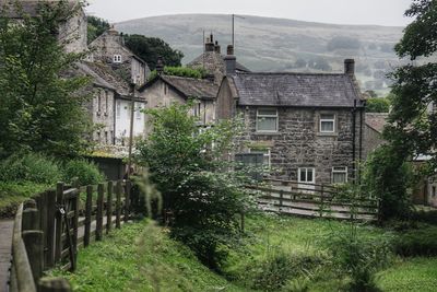 Trees and houses in village