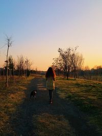 Rear view of woman with dog walking on field against clear sky during sunset