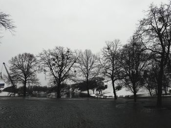 Bare trees on landscape against clear sky