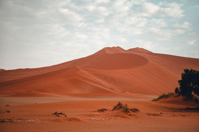 Scenic view of desert against sky