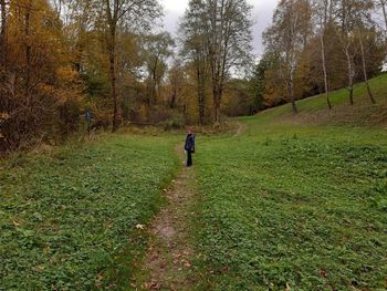 Rear view of person walking on grass in forest