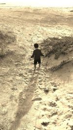 Rear view of silhouette man walking on beach