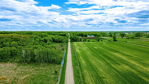 Green fields, green grass with green trees. rural road extends to the horizon in wisconsin 