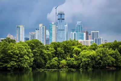 Trees and buildings in city against sky