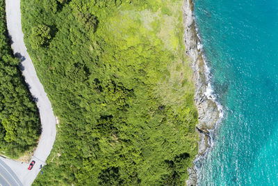 High angle view of sea and trees