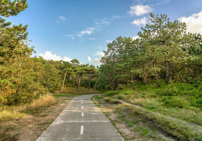 Road amidst trees against sky