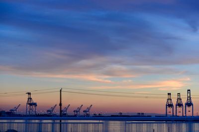 Cranes at sunset