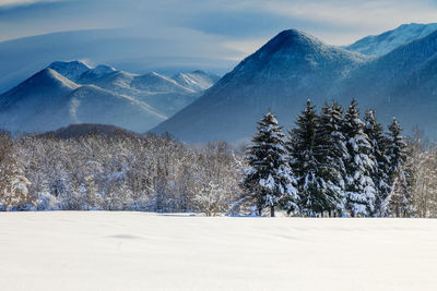 Winter with snow on lika, foothill of the velebit mountain croatia