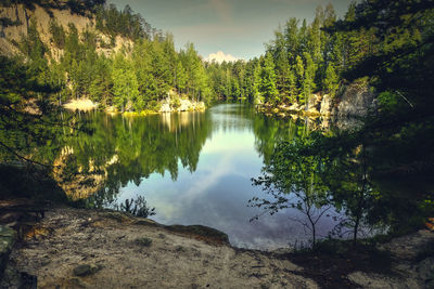 Scenic view of lake in forest against sky