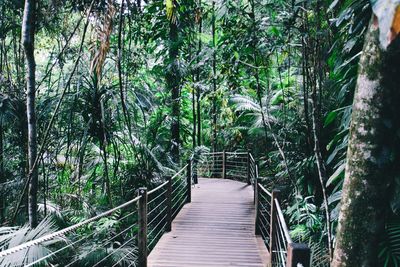 Footpath leading to wooden footbridge