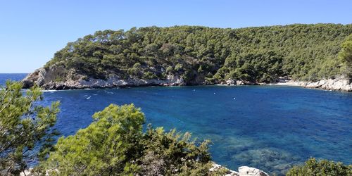 Scenic view of sea against clear sky