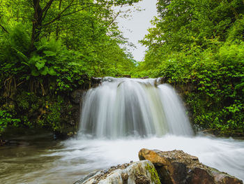 Scenic view of waterfall in forest