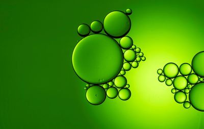 Close-up of bubbles over green background