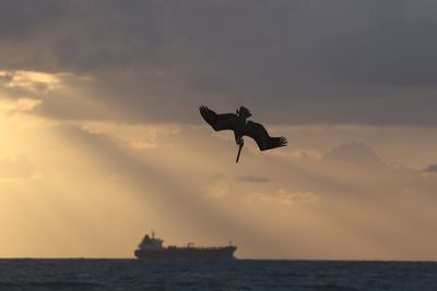 Silhouette bird flying over sea against sky during sunset