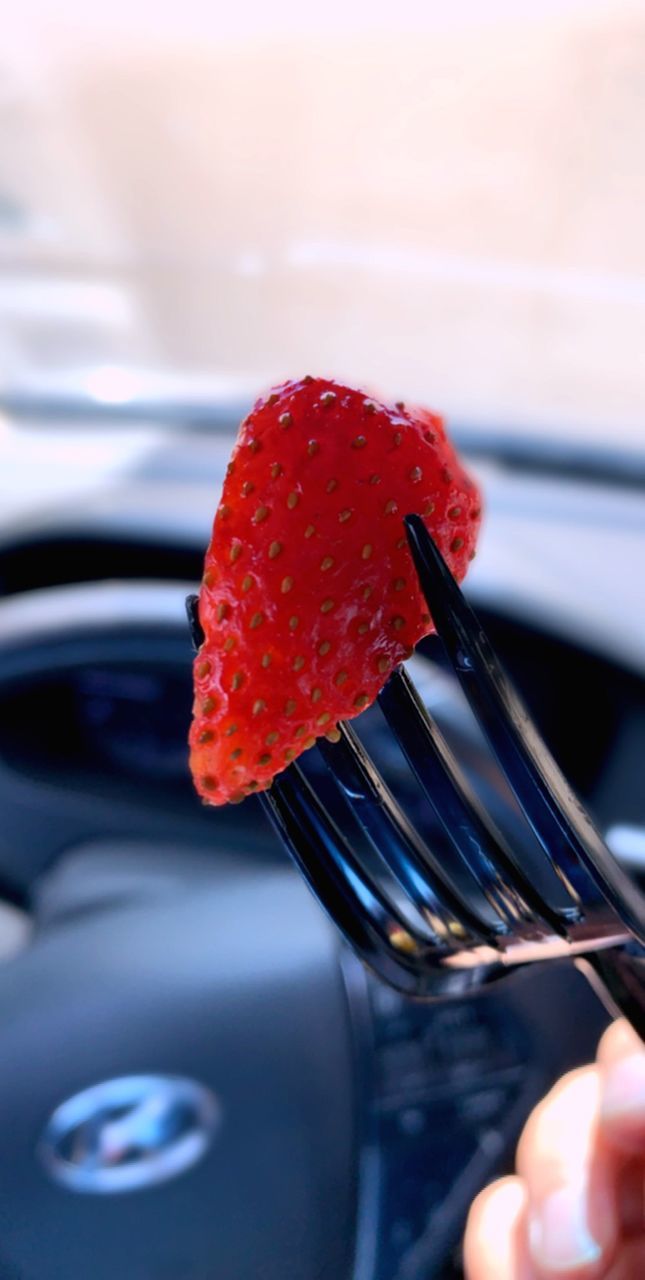 berry fruit, strawberry, red, close-up, fruit, food, food and drink, freshness, healthy eating, human hand, eating utensil, focus on foreground, human body part, kitchen utensil, fork, hand, one person, wellbeing, selective focus, holding, finger, ripe