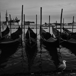 Boats moored in canal