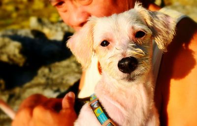 Close-up of man with dog