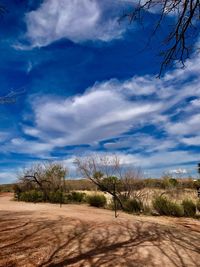Scenic view of beach against blue sky