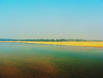 Scenic view of landscape against clear blue sky