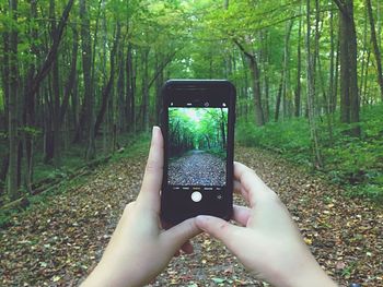 Midsection of person photographing through smart phone in forest