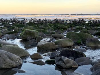 Scenic view of sea against sky at sunset