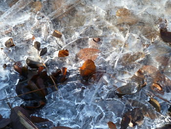 Full frame shot of frozen water