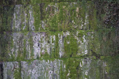 Full frame shot of rock
