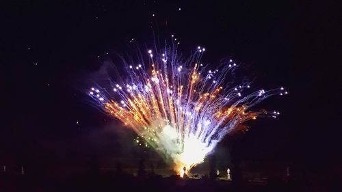 Low angle view of firework display against sky at night