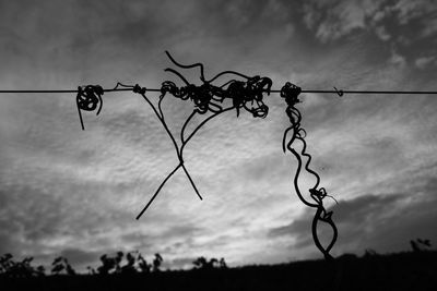 Low angle view of barbed wire against sky