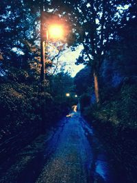 View of illuminated street lights at night