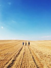 Scenic view of field against clear sky