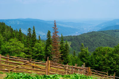 Scenic view of carpathian mountains against sky