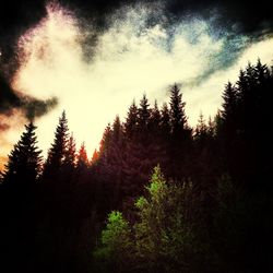 Scenic view of trees against cloudy sky