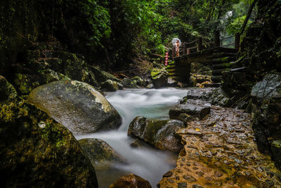 View of waterfall in forest