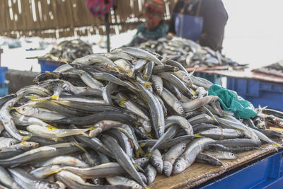 View of fish for sale at market stall