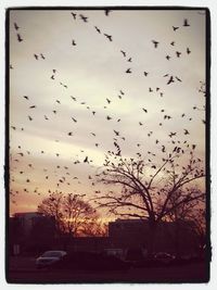 Silhouette of airplane flying in sky at sunset