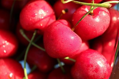 Close-up of strawberries