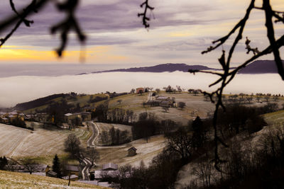 High angle view of trees on field against sky