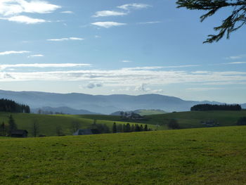 Scenic view of field against sky