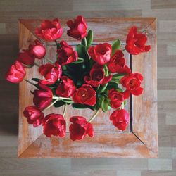 Close-up of red flower on wooden table